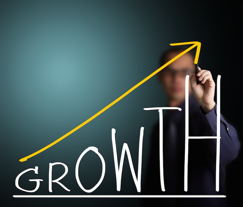 Business Best Practices: How To Control Business Growth